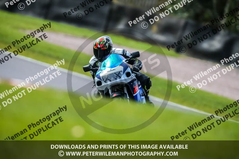 Oulton Park 21st March 2020;PJ Motorsport Photography 2020;anglesey;brands hatch;cadwell park;croft;donington park;enduro digital images;event digital images;eventdigitalimages;mallory;no limits;oulton park;peter wileman photography;racing digital images;silverstone;snetterton;trackday digital images;trackday photos;vmcc banbury run;welsh 2 day enduro
